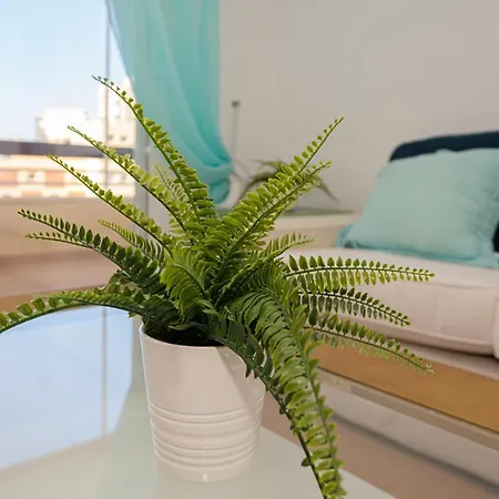 Family Vacation Apartment